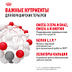 Royal Canin Yorkshire Terrier Adult Корм сухой для взрослых собак породы Йоркширский Терьер от 10 месяцев, 3 кг